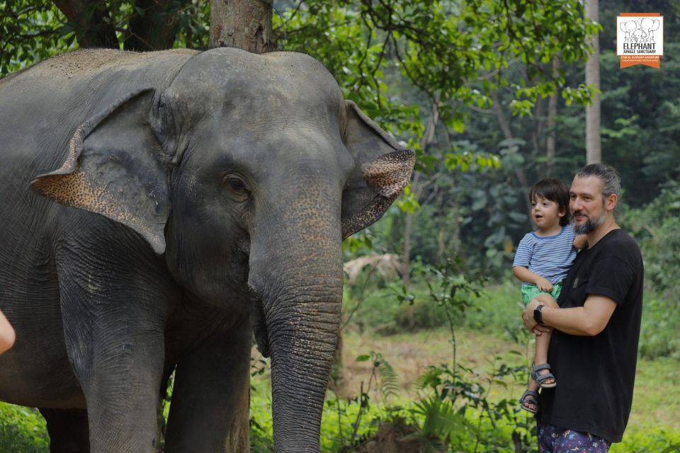 Koh Samui: Elephant Jungle Sanctuary Half-Day Tour - Important Notes