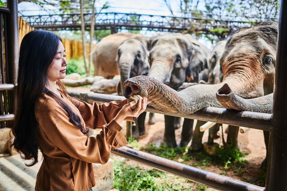 Koh Samui: Elephant Kingdom Sanctuary Half-Day Tour - Key Points