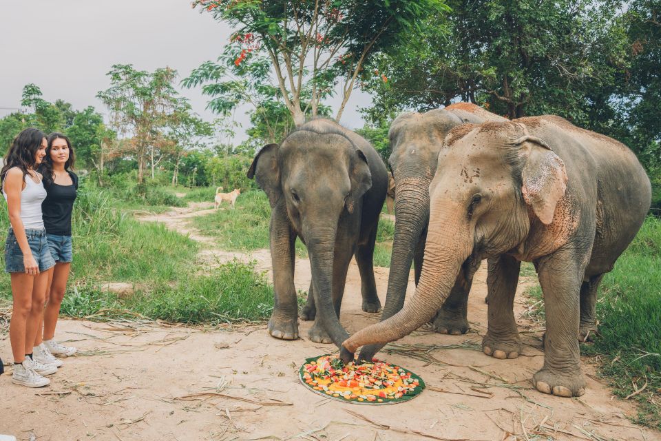 Koh Samui: Elephant Kingdom Sanctuary Half-Day Tour - Elephant Mud Play