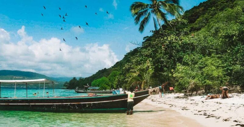 Koh Samui: Island Hopping Adventure in Coral and Pig Island - Key Points