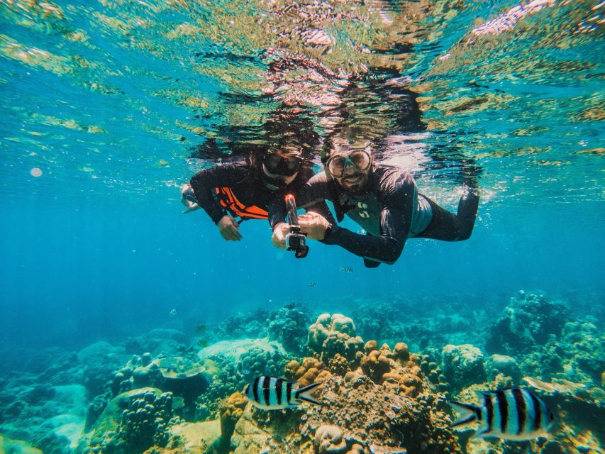 Koh Samui: Koh Tao and Nangyuan Snorkeling Tour With Lunch - Frequently Asked Questions