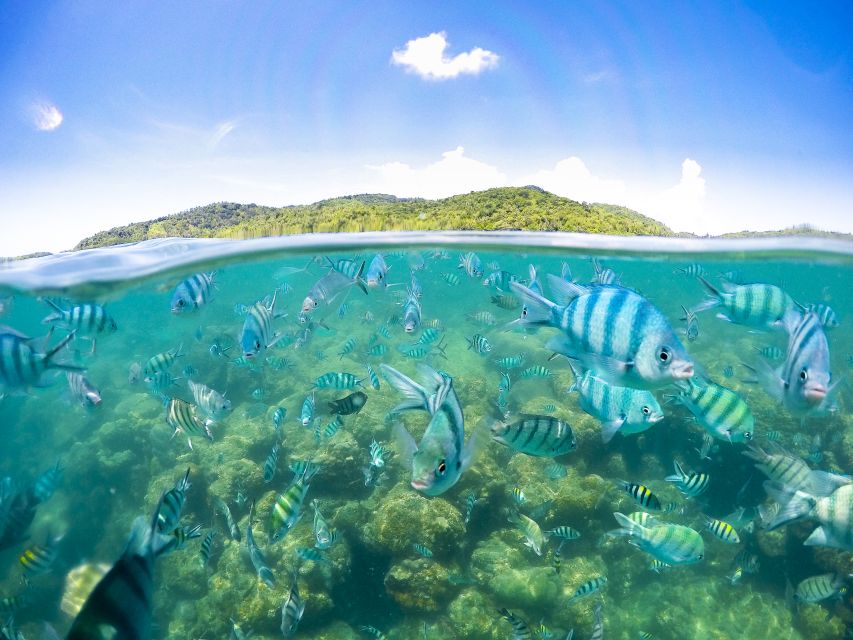 Koh Samui: Pig Island Tour by Speedboat With Snorkeling - Koh Madsum (Pig Island)