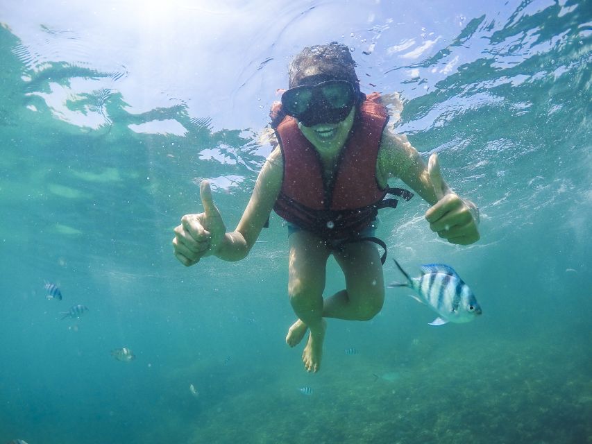 Koh Samui: Pig Island Tour by Speedboat With Snorkeling - Snorkeling at Koh Tan