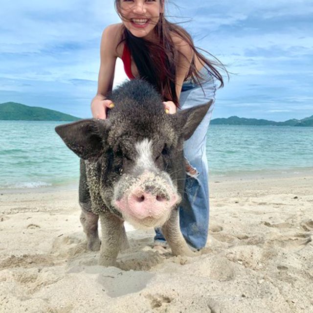 Koh Samui: Pig Island Tour by Speedboat With Snorkeling - Suitability and Restrictions
