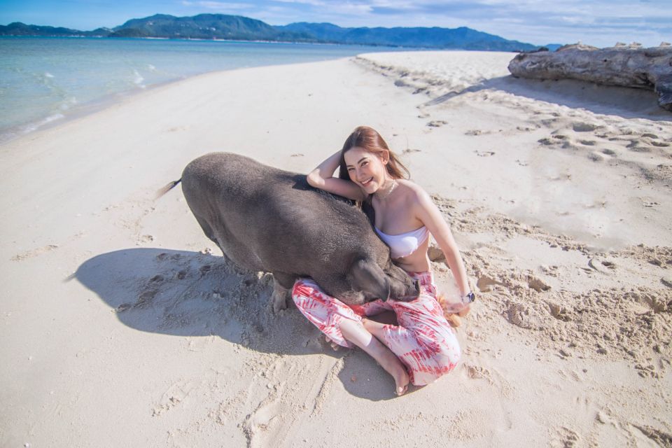 Koh Samui: Pig Island Tour by Speedboat With Snorkeling - Customer Feedback