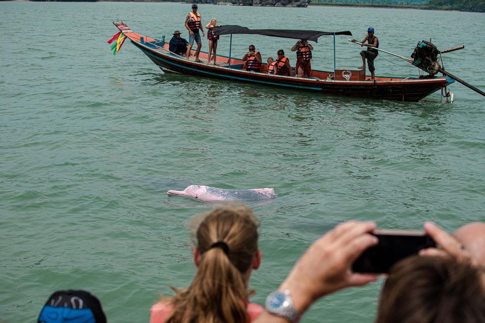 Koh Samui: Pink Dolphin Spotting & Pig Island Speedboat Tour - Important Considerations