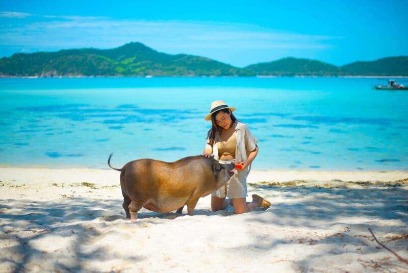 Koh Samui: Private Longtail Boat to Pig Island With Snorkel - Pricing and Inclusions