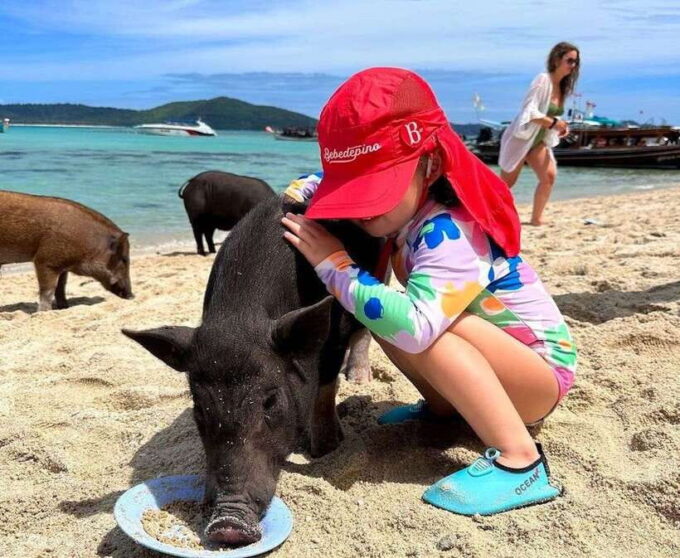 Koh Samui: Private Longtail Boat to Pig Island With Snorkel - Important Considerations