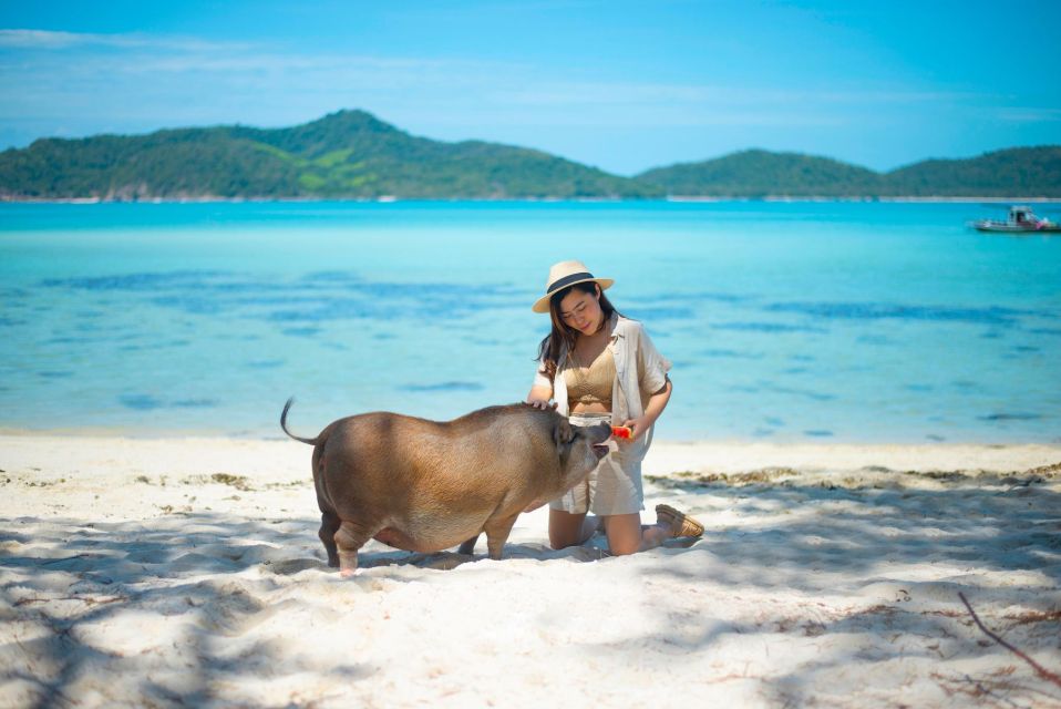 Koh Samui: Private Longtail Tour to Koh Mat Sum (Pig Island) - Longtail Boat Details