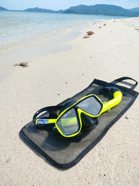 Koh Samui: Private Speedboat to Pig Island With Snorkeling - Visiting Pig Island