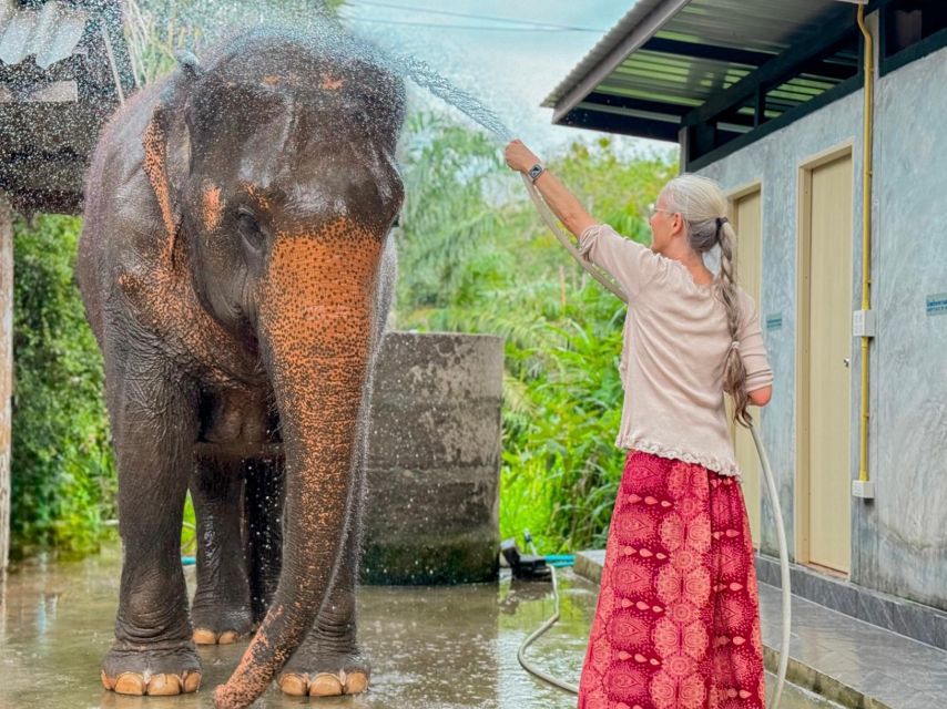 Koh Samui: Unique Iocal Tour & Elephant Sanctuary With Lunch - Key Points