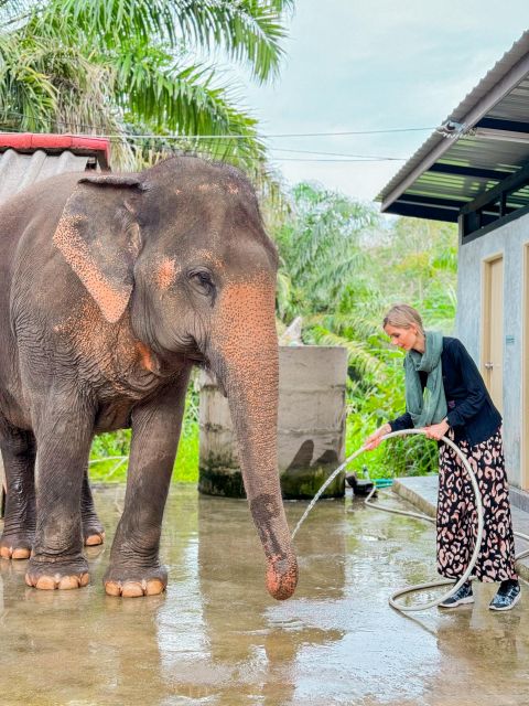 Koh Samui: Unique Iocal Tour & Elephant Sanctuary With Lunch - Itinerary Highlights