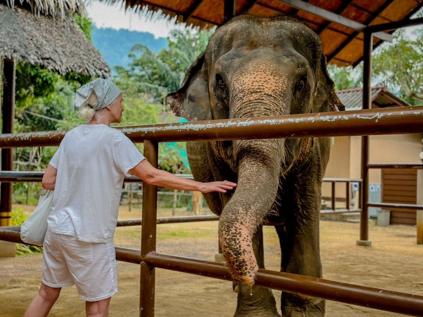 Koh Samui: Unique Iocal Tour & Elephant Sanctuary With Lunch - Experiencing Traditional Village