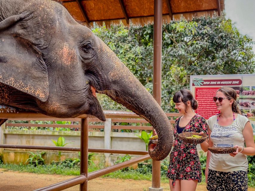 Koh Samui: Unique Iocal Tour & Elephant Sanctuary With Lunch - Lunch With Panoramic Views