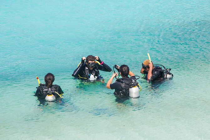 Koh Tao and Koh Nang Yuan by Speedboat - Dining Experience