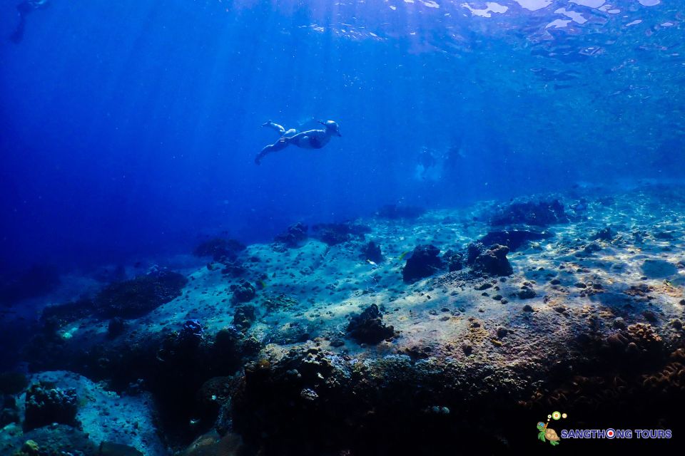 Koh Tao: Islands Snorkeling Highlights Day Tour & Lunch - Key Points