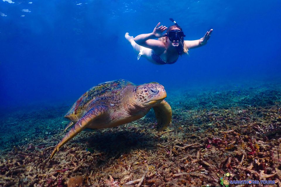 Koh Tao: Islands Snorkeling Highlights Day Tour & Lunch - Lunch Onboard