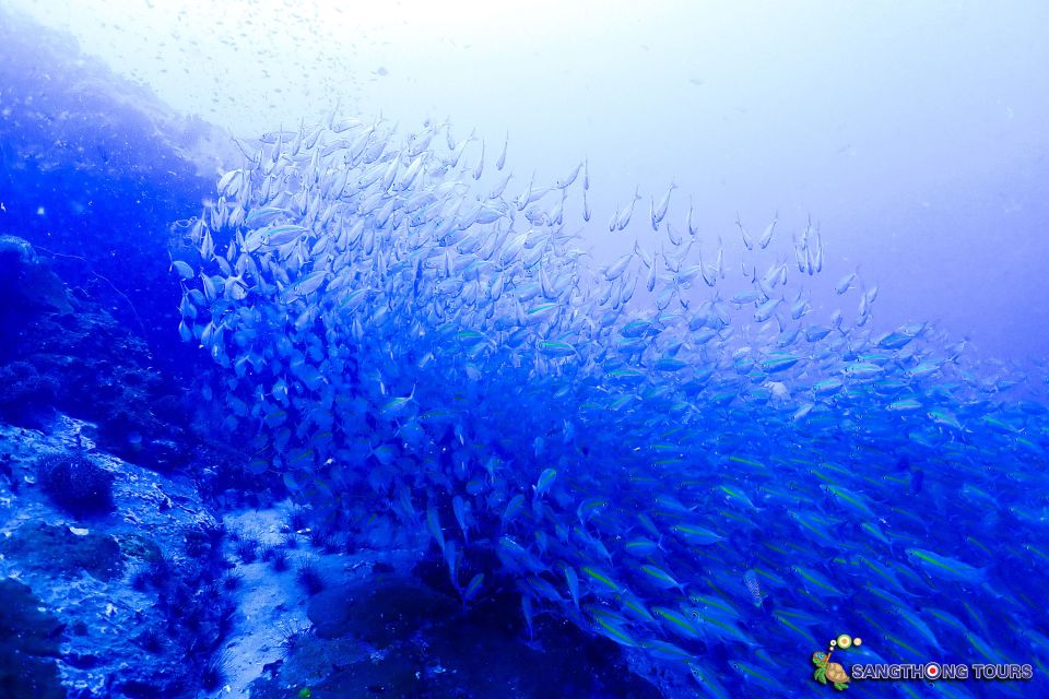 Koh Tao: Islands Snorkeling Highlights Day Tour & Lunch - Frequently Asked Questions