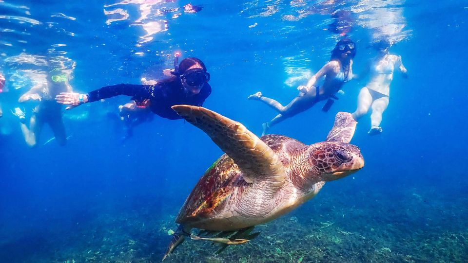 Koh Tao: Koh Nangyuan and the Hidden Bays Trip by the Oxygen - Additional Information