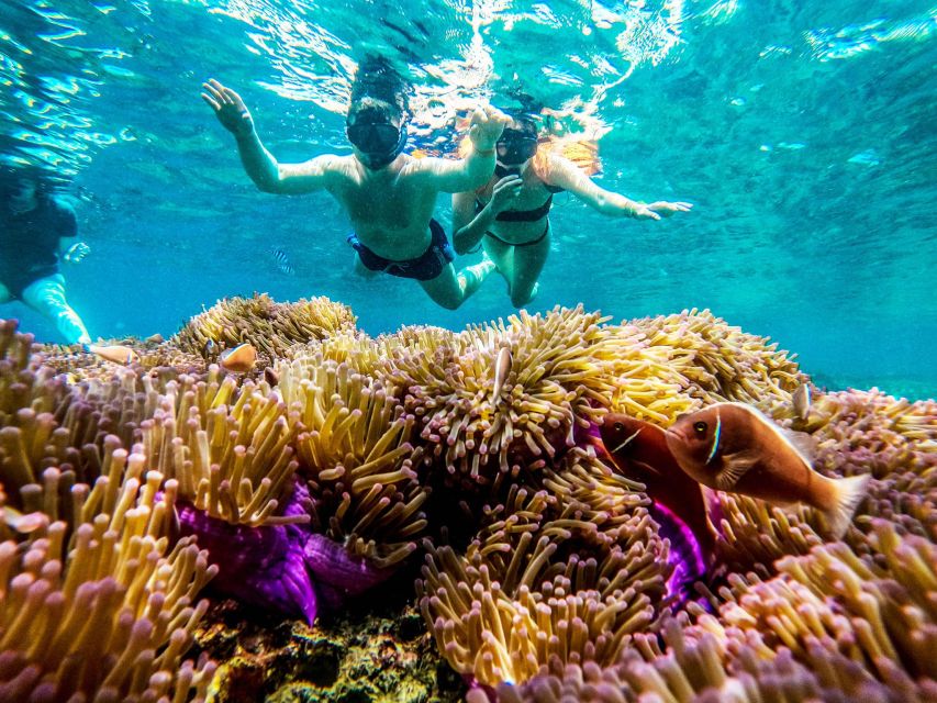 Koh Tao: Koh Nangyuan and the Hidden Bays Trip by the Oxygen - Tailored for All