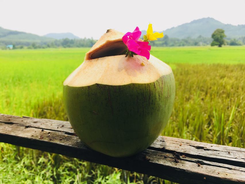 Koh Yao Noi: The Local Way of Life Eco Half-Day Tour - Highlights of the Tour