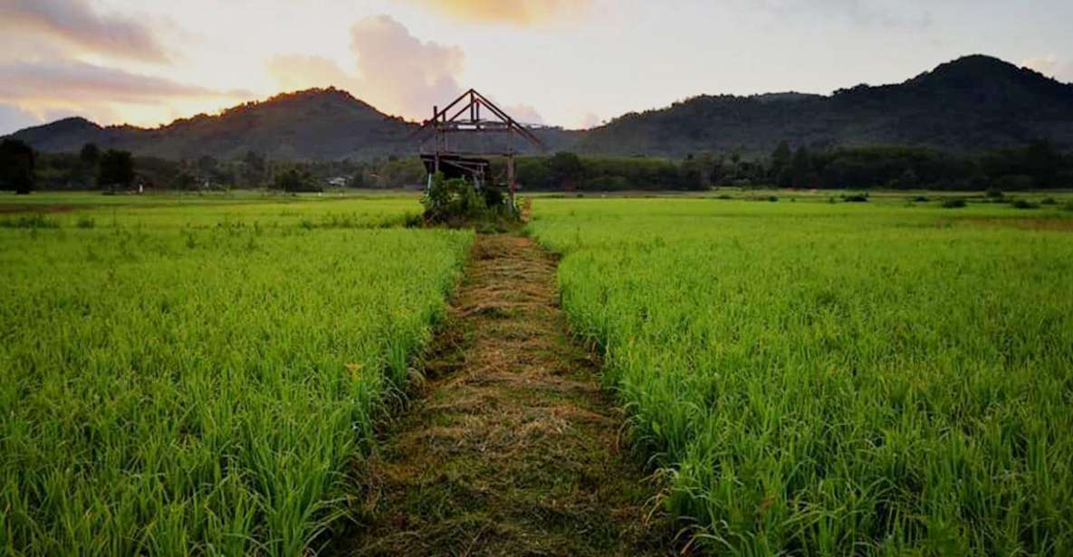 Koh Yao Noi: The Local Way of Life Eco Half-Day Tour - Scenic Panoramic Views