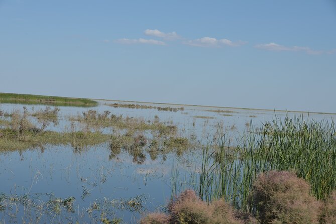 Kolkhoz: Private Visit to the Cotton Farmers Village - Traveler Reviews and Experiences