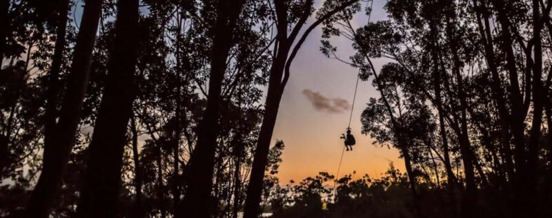 Koloa: Kauais Longest 8-Line Zipline Tour - Authentic Insights from Past Travelers