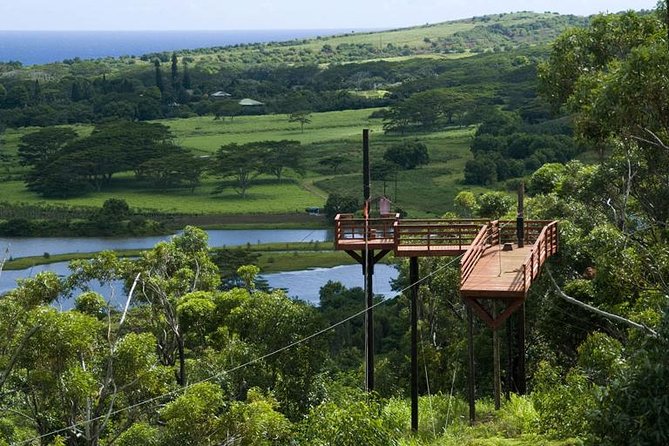 Koloa Zipline in Kauai - Features