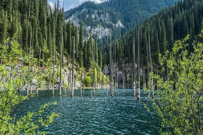 Kolsai, Kaindy Lakes and Charyn Canyons 2 Days Small Group Tour - Traveler Experiences