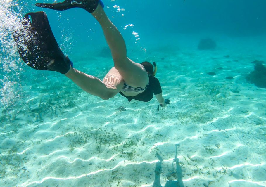 Komodo: 4-Day Private Tour With Overnight Boat and Hotel - Pricing and Booking Options