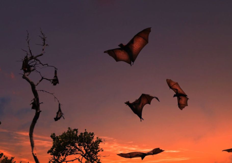Komodo: 4-Day Private Tour With Overnight Boat and Hotel - Frequently Asked Questions