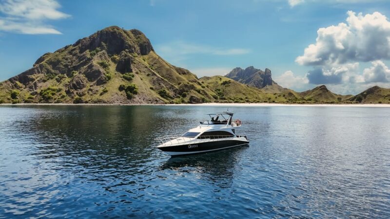 Komodo Full Day Speedboat Tour From Labuan Bajo - Good To Know