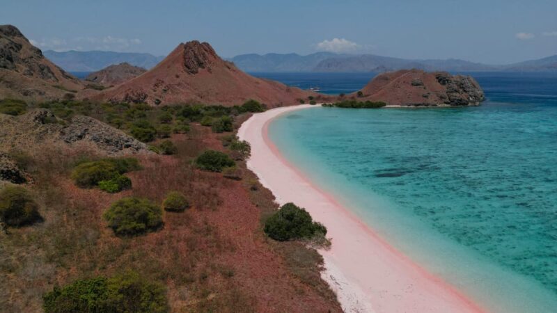 Komodo Full Day Speedboat Tour From Labuan Bajo - Itinerary Highlights