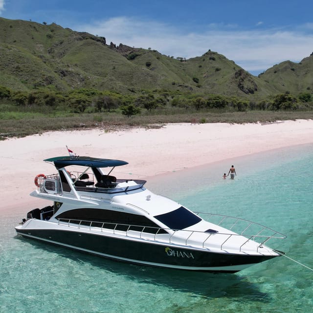Komodo Full Day Speedboat Tour From Labuan Bajo - Customer Feedback