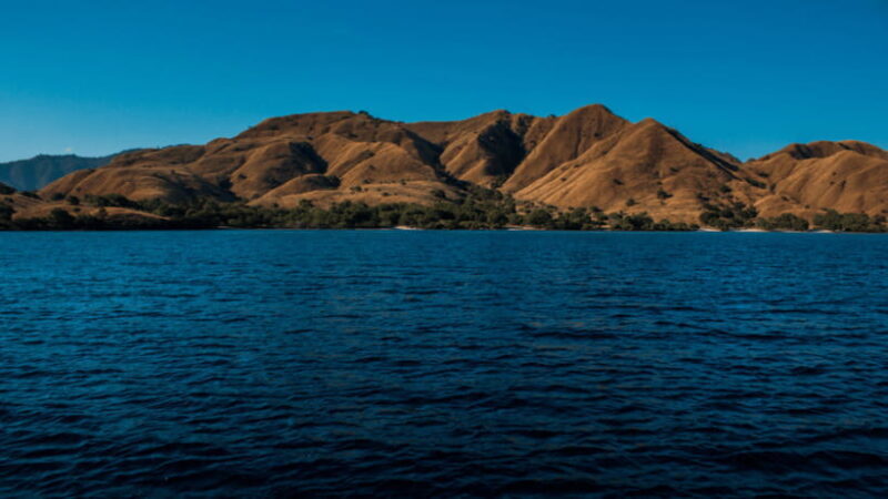 Komodo Island Full Day Tour at Labuan Bajo Island - Key Points