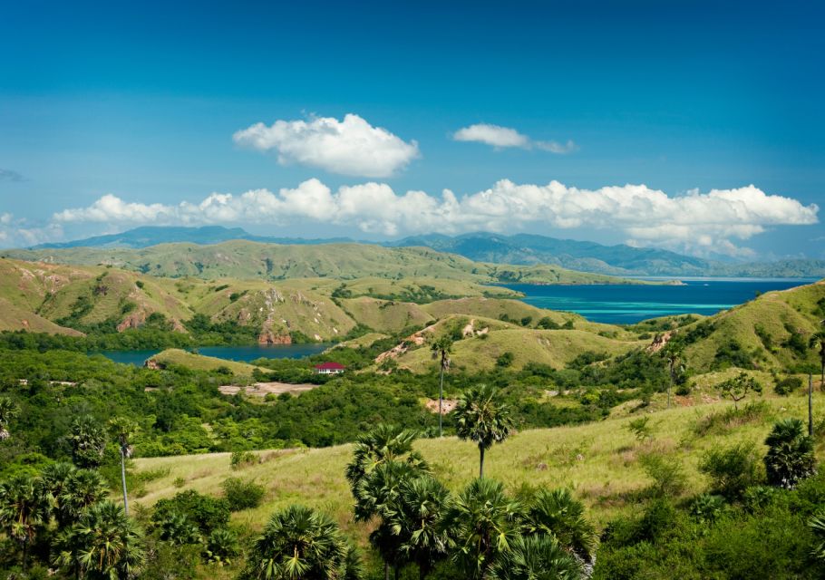 Komodo Island: Private 3-Day Tour With Boat and Hotel Stay - Trekking on Rinca Island