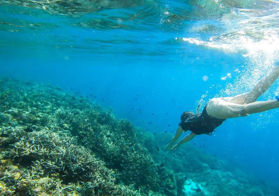 Komodo Island: Private 3-Day Tour With Boat and Hotel Stay - Flexible Scheduling and Pricing