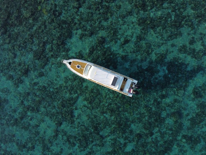 Komodo Island: Private Day Tour by Speedboat - Visiting Komodo Dragons