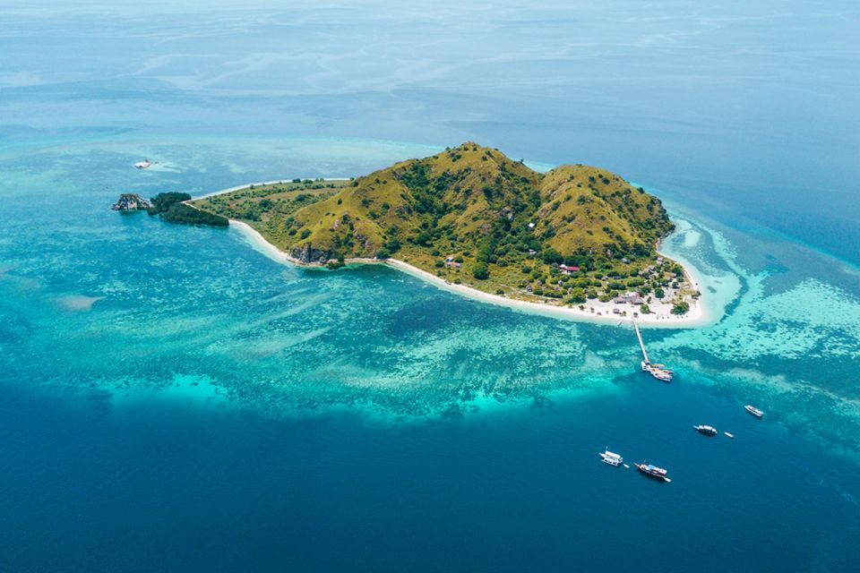 Komodo Island: Private Day Tour by Speedboat - Frequently Asked Questions
