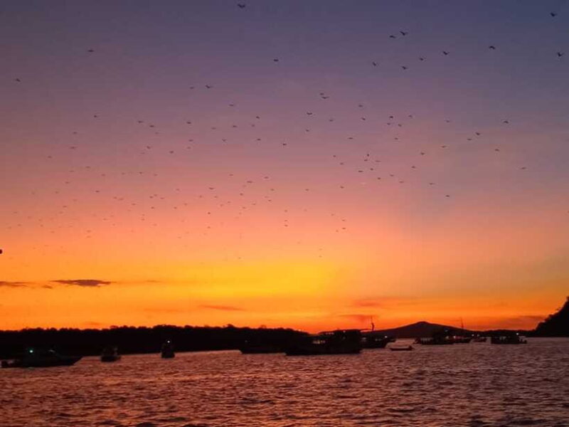 Komodo One Day Tour With Speed Boat - FAQ