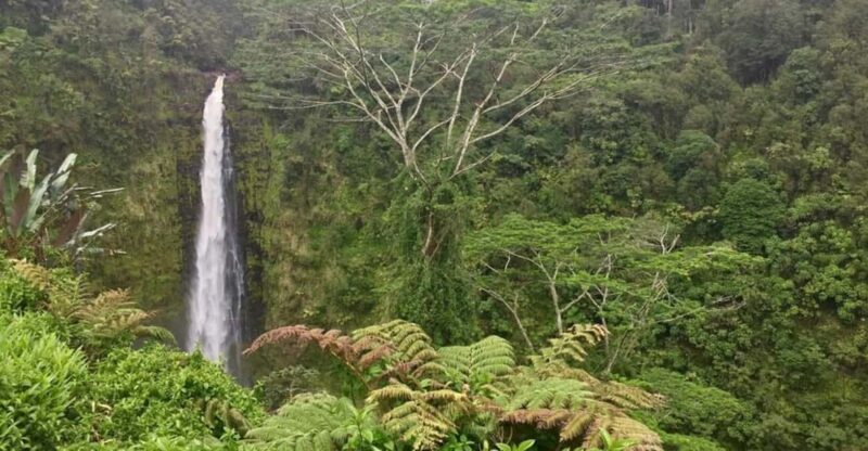 Kona: Big Island Big Volcano Adventure - Experience and Exploration