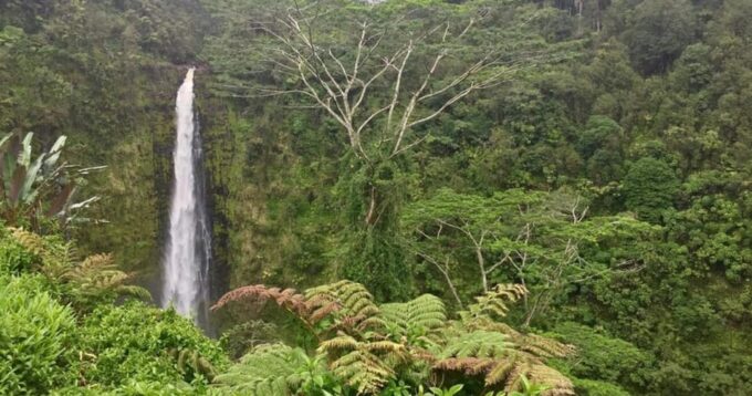 Kona: Big Island Big Volcano Adventure - Group Options