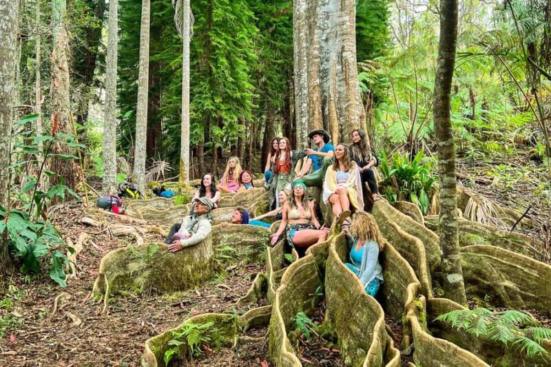 Kona Cloud Forest Sanctuary Montane Jungle Tour (2.5 hrs) - Key Points