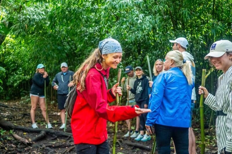 Kona Cloud Forest Sanctuary Montane Jungle Tour (2.5 hrs) - Final Thoughts: Who Should Book?