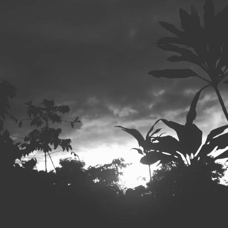 Kona Coast: Rooster Farms Coffee Tasting - Key Points