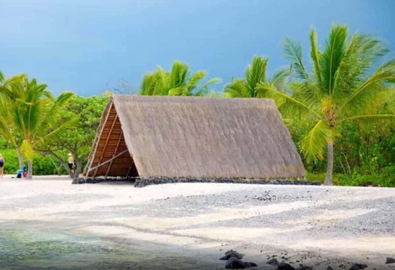 Kona: Coffee and Sea Turtles Tour - An In-Depth Look at the Kona Coffee and Sea Turtles Tour