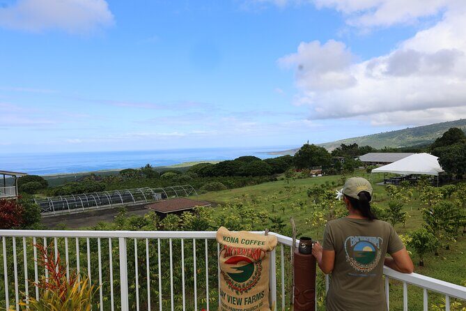 Kona Coffee Farm Tour from Tree to Tasting Room - A Closer Look at the Tour Experience