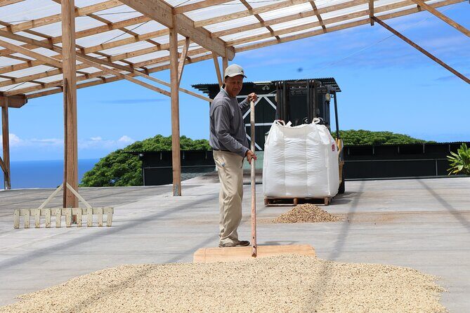 Kona Coffee Farm Tour from Tree to Tasting Room - Who Should Consider This Tour?