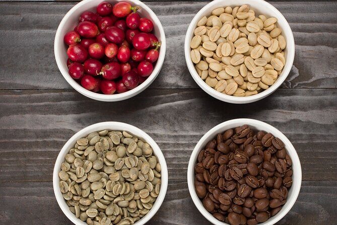 Kona Coffee Roasting Experience - Key Points